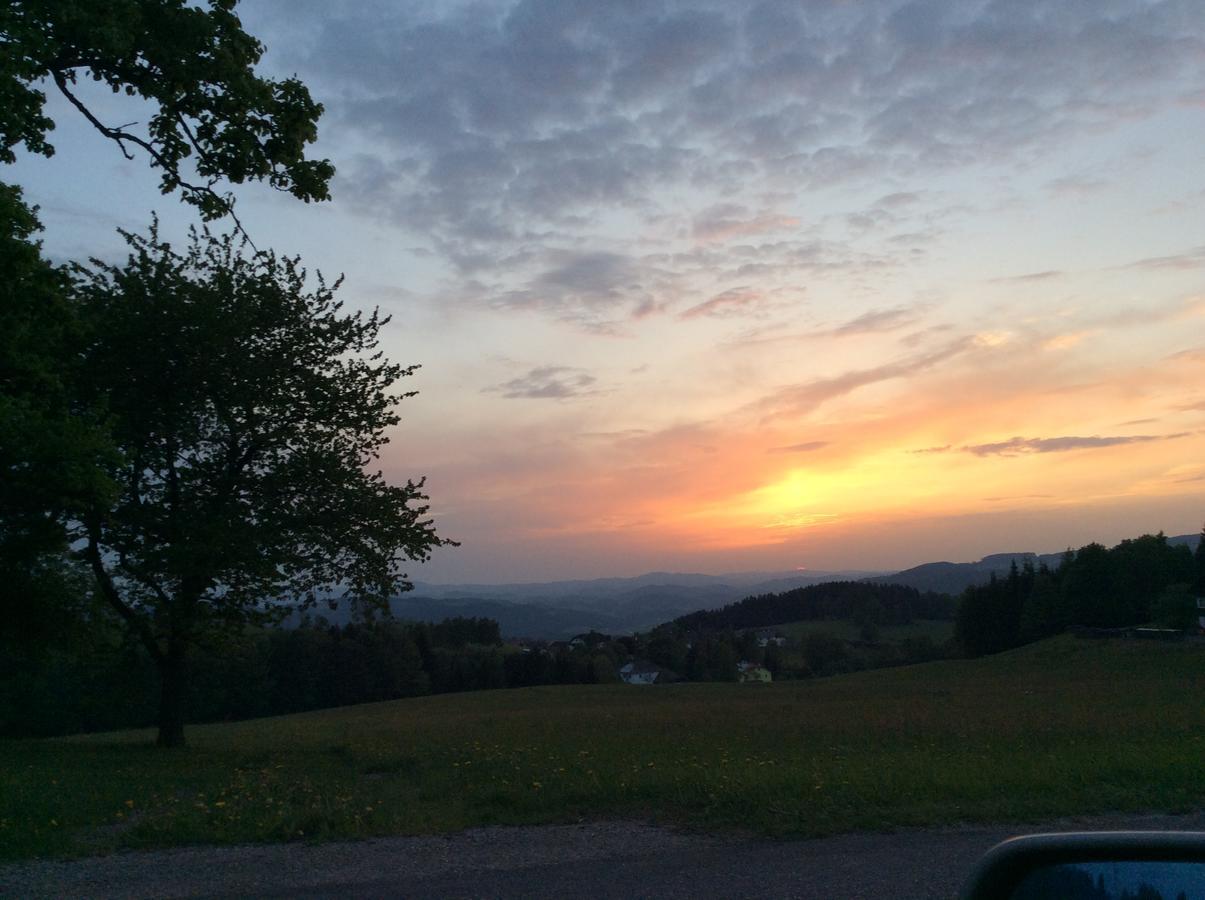 Ferienbauernhof Koller Villa Helfenberg Exteriör bild
