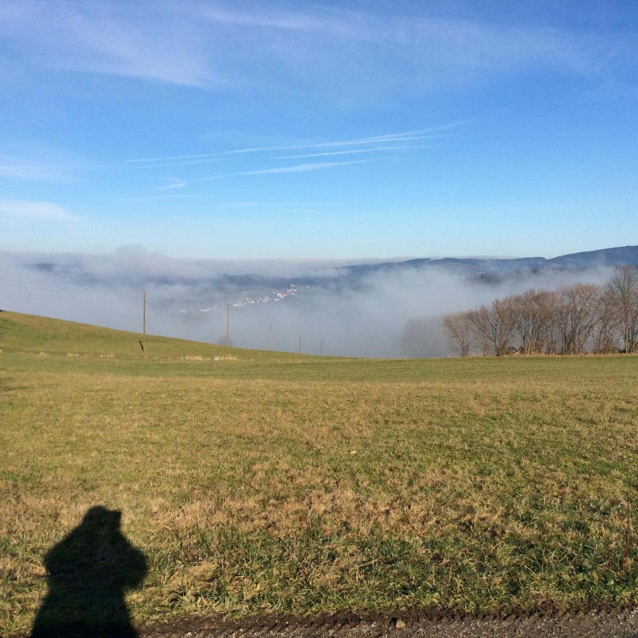 Ferienbauernhof Koller Villa Helfenberg Exteriör bild