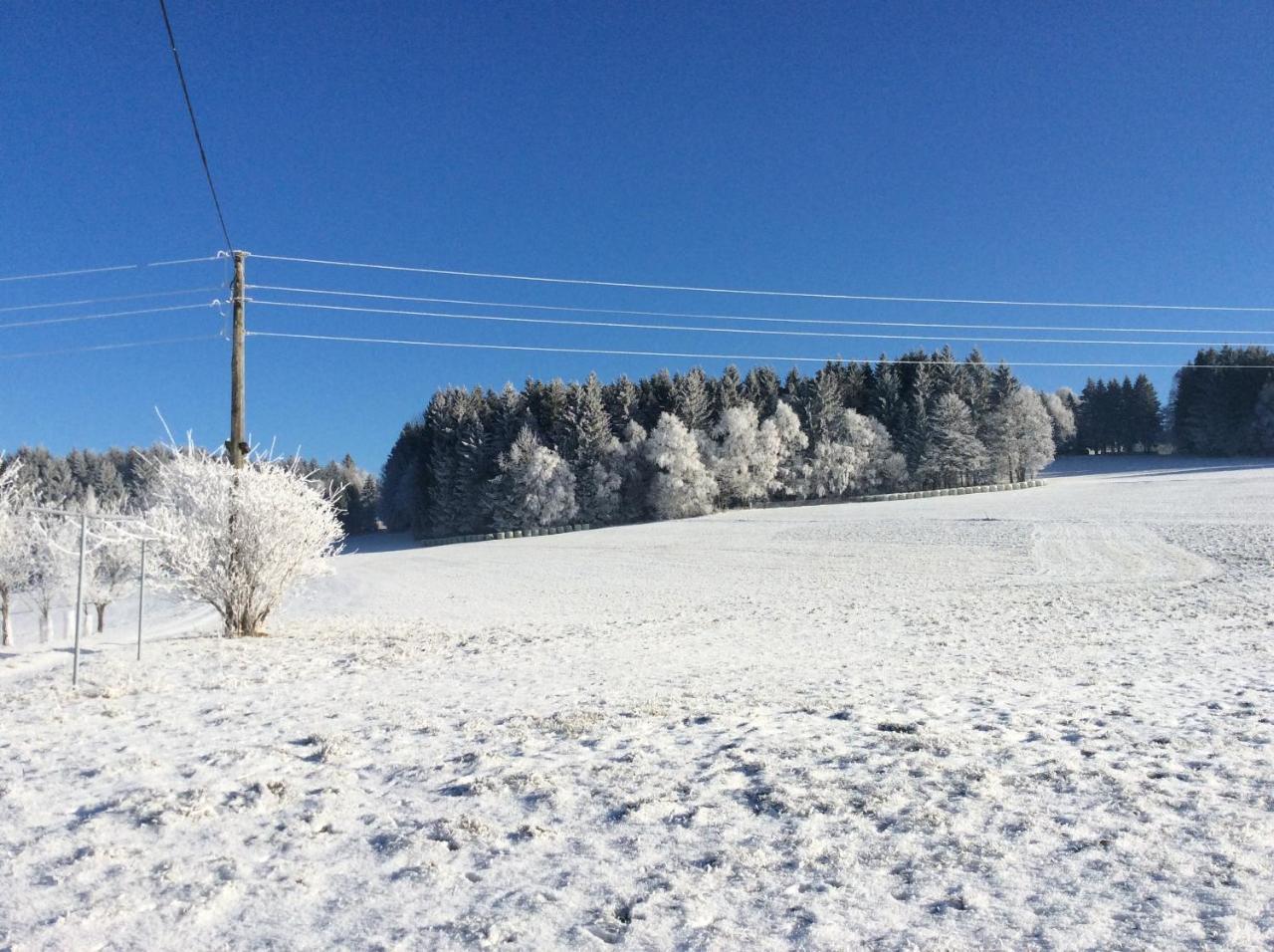 Ferienbauernhof Koller Villa Helfenberg Exteriör bild
